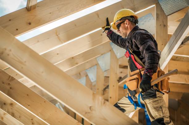 Best Roof Gutter Cleaning  in Omao, HI