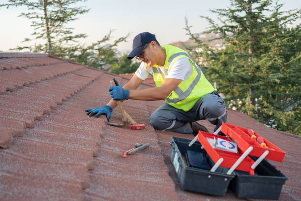 Best Roof Repair Services  in Omao, HI